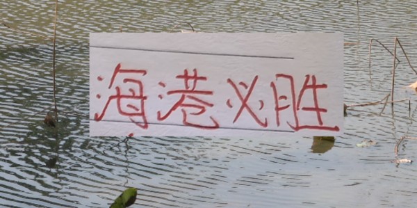 MK体育-申花两场热身赛都没有赢 ，还就看新阵容海港能否热身起飞了